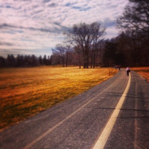 Photo from Sunday's recovery run through Trexler Park.
