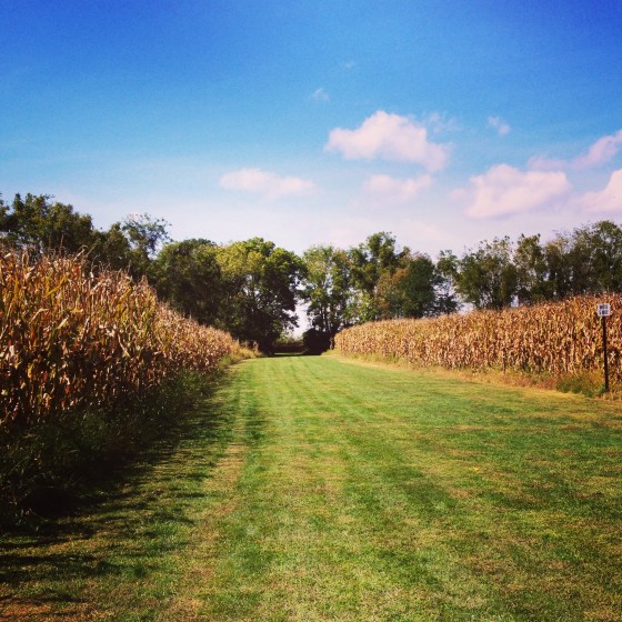 Lehigh XC course, the site of my Saturday shakeout.